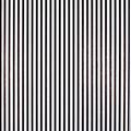 Black Stripes/White Tissue Paper (A)